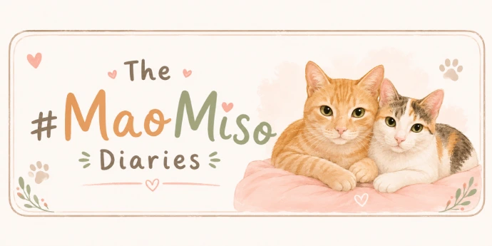 The #MaoMiso Diaries logo